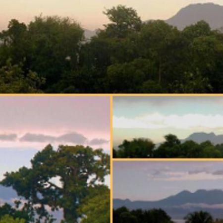 Jolie Studette Dans Un Environnement Arbore Les Abymes Buitenkant foto