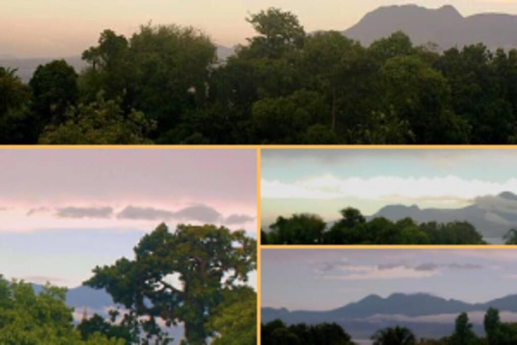 Jolie Studette Dans Un Environnement Arbore Les Abymes Buitenkant foto